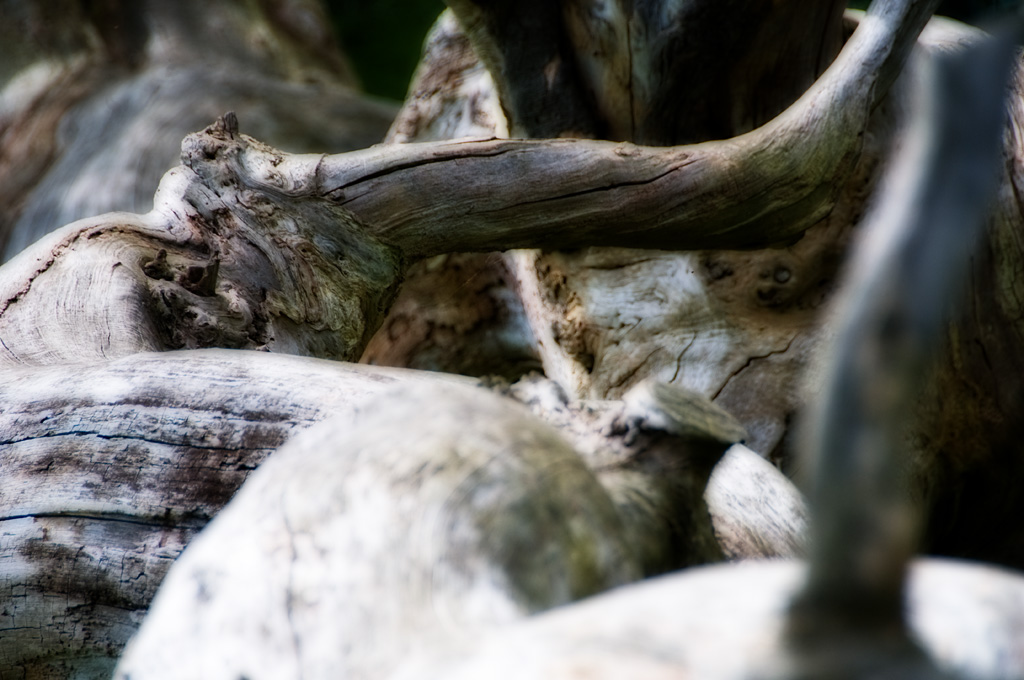 Some More Gnarly...