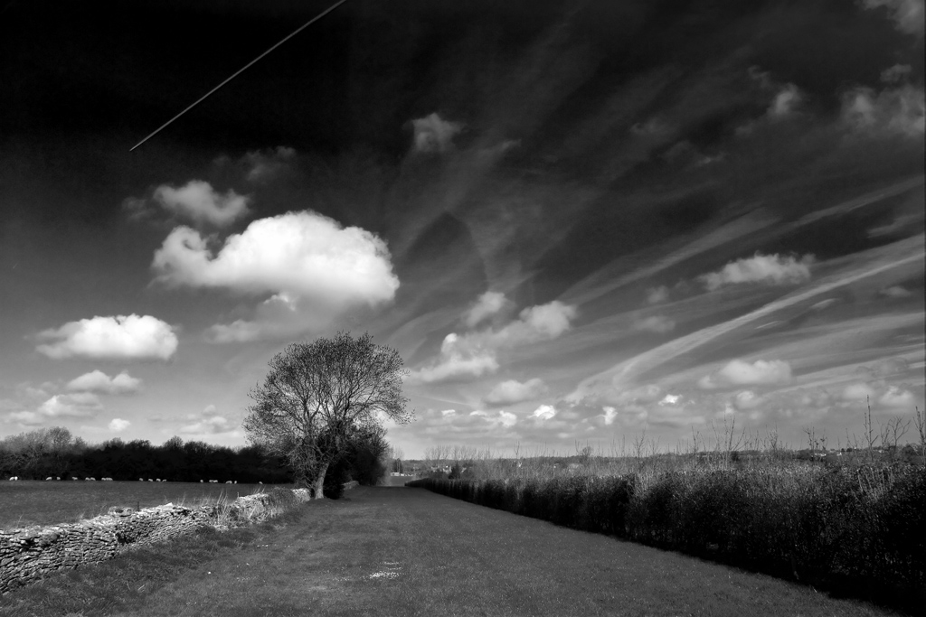 Contrail