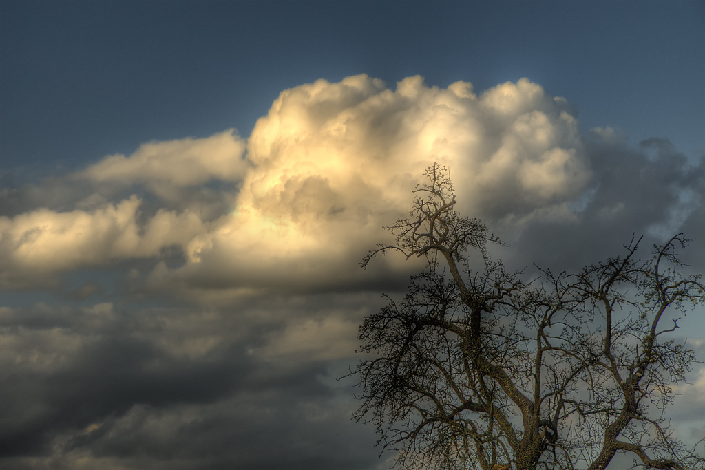 Big Sky