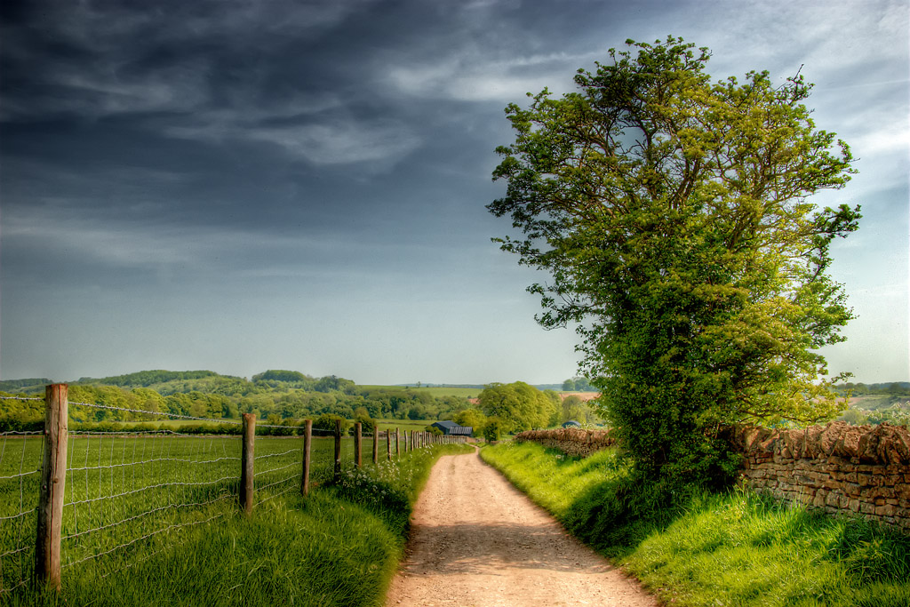 Spring Light 1
