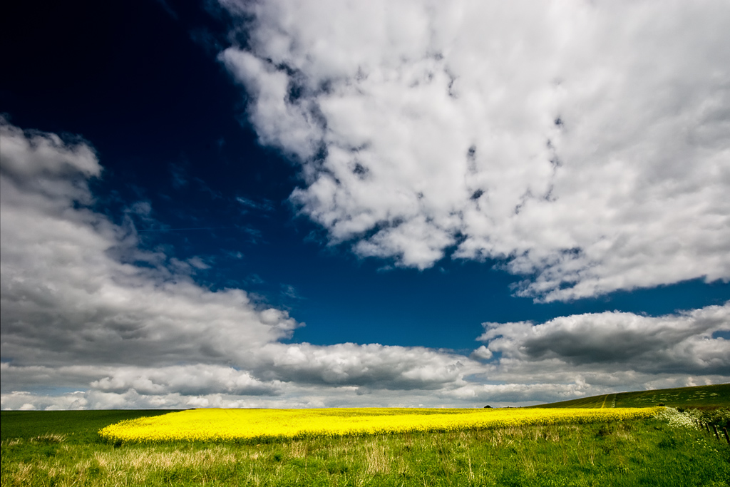 Wide Skies