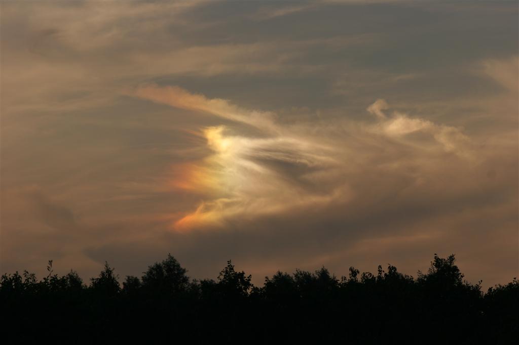 Sundog, Gordon Bennett, 9 september 2006, Waasland, Belgium