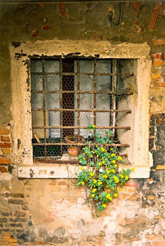 VENICE WINDOW 6
