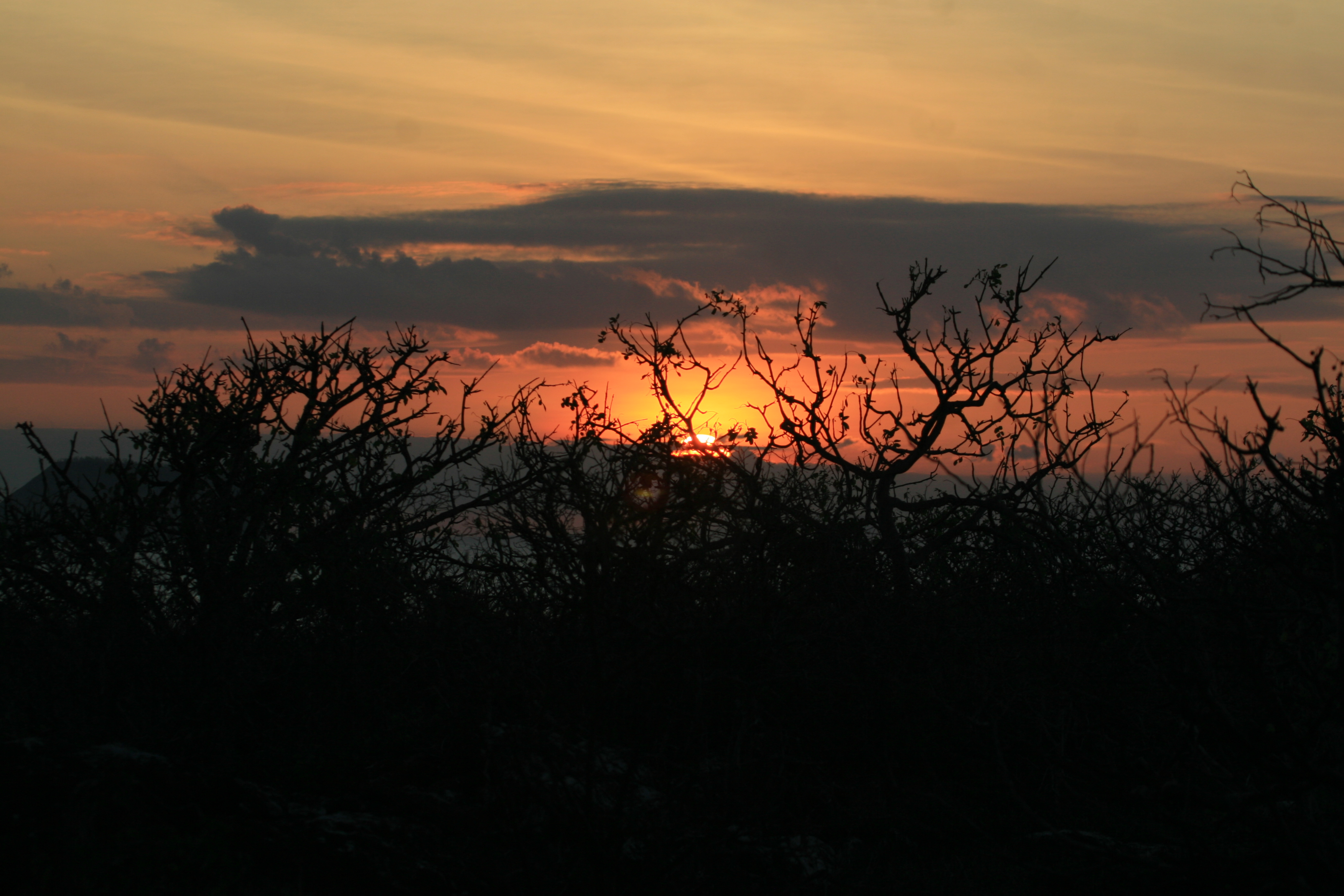 Isla Seymour Sunset