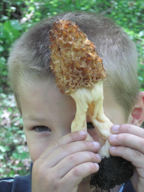 Andrei peeking through split morel stipe_0328.JPG