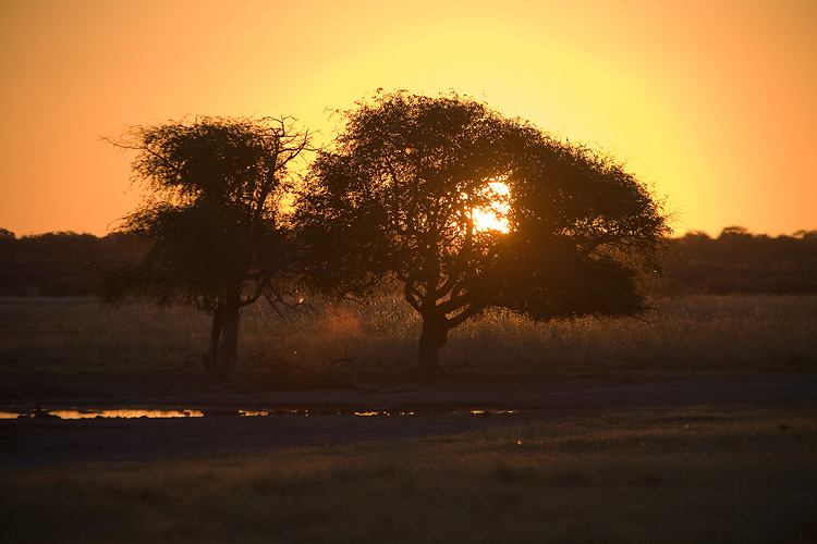 Sunset at the waterhole