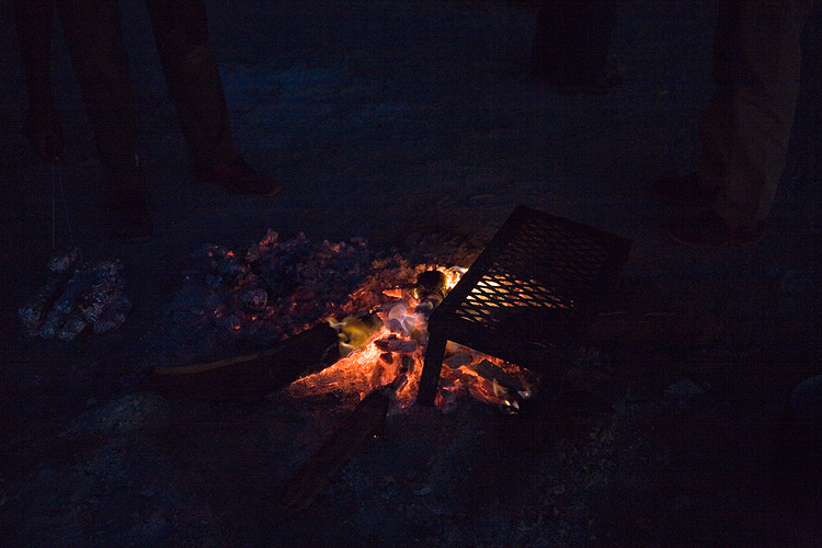 Toasty warm