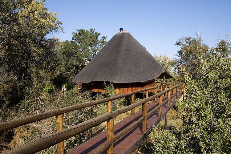 Leopard Chalet