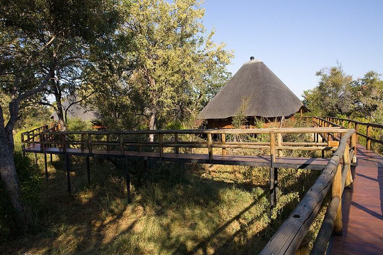 Leopard Chalet