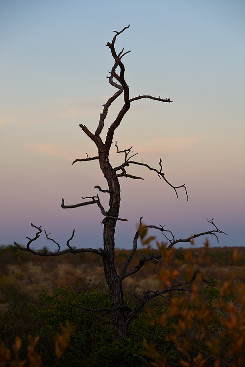 fading light II
