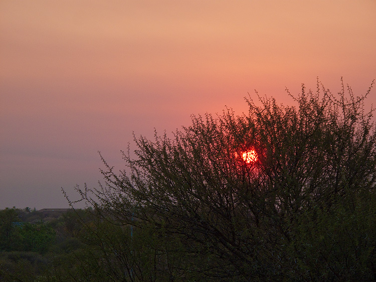 Botswana Sunrise