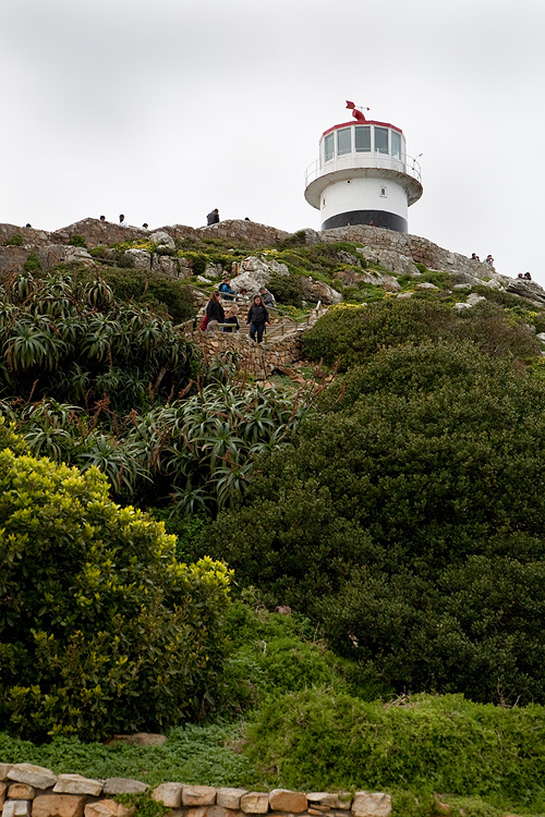 _MG_4633wp750.jpg