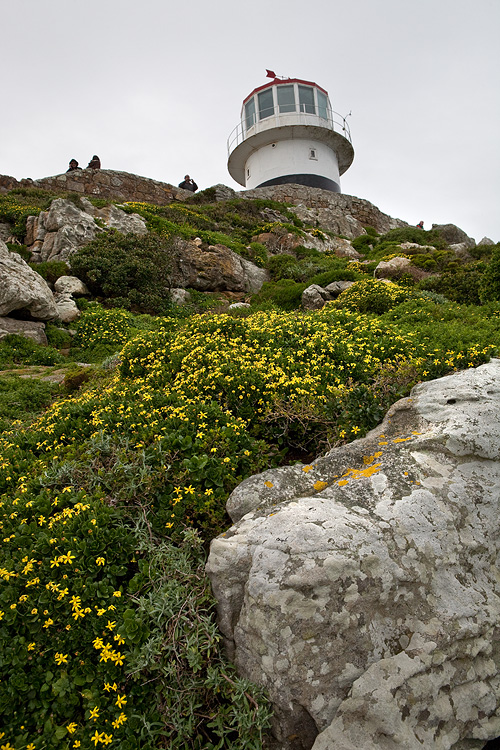 _MG_4637wp750.jpg
