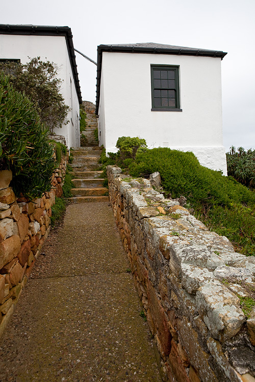 _MG_4651wp750.jpg