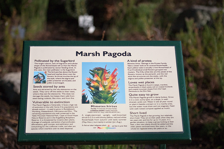 _MG_4780wp750.jpg