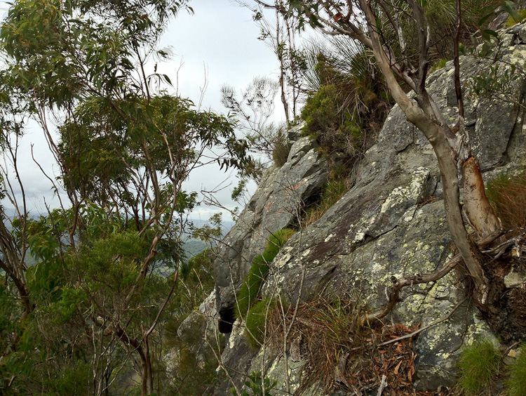 Mt Cooroora