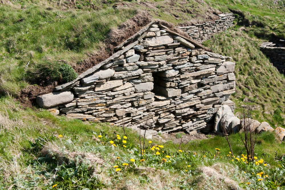 Turf roof