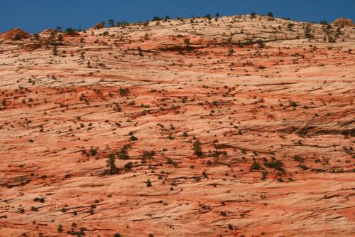 Zion National Park