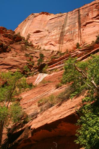 7540 under zion canyon.jpg