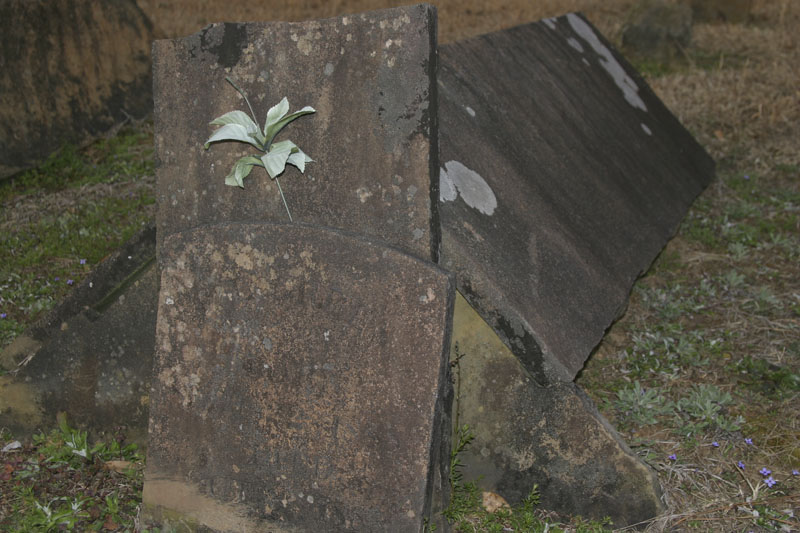 Bostic Cemetery
