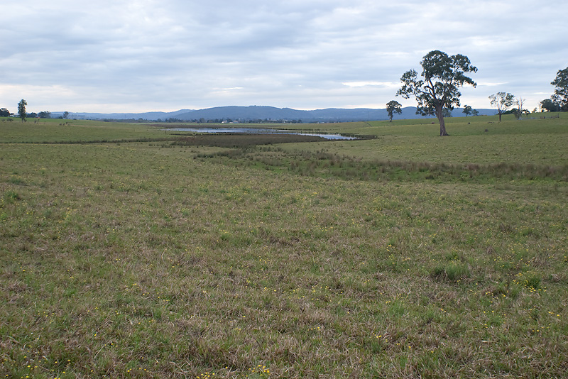 Paddocks 27/05