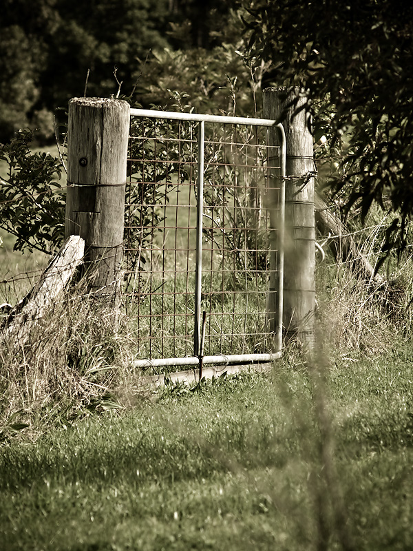 Back Gate 30/05