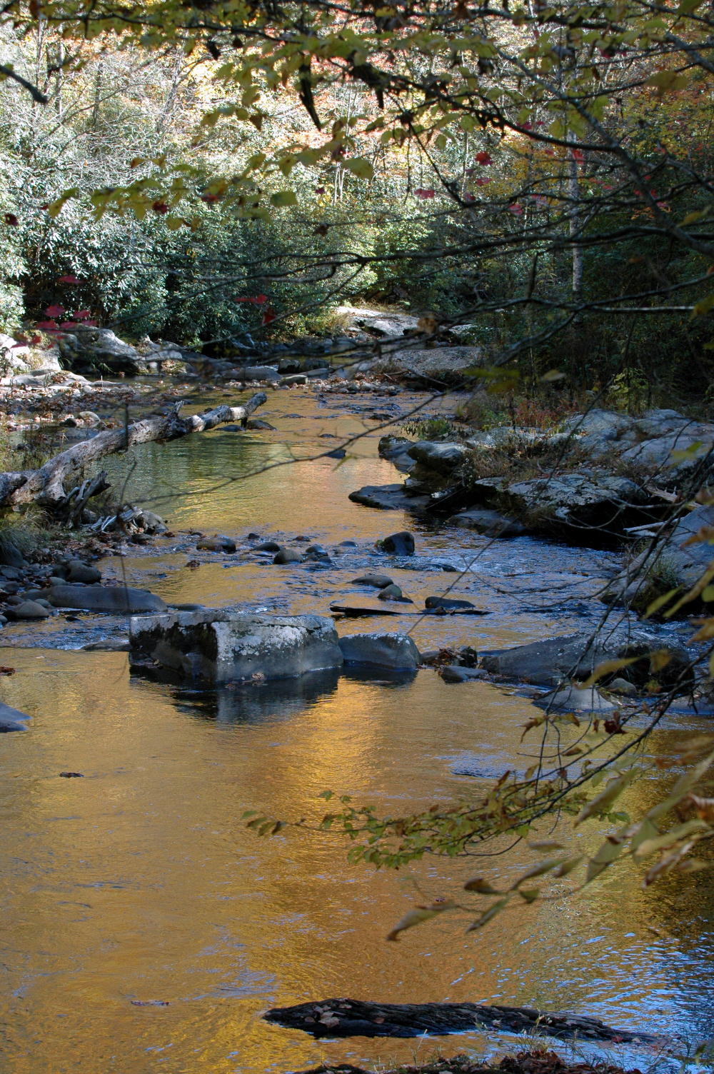 DSC_a1770_edited 2.JPG