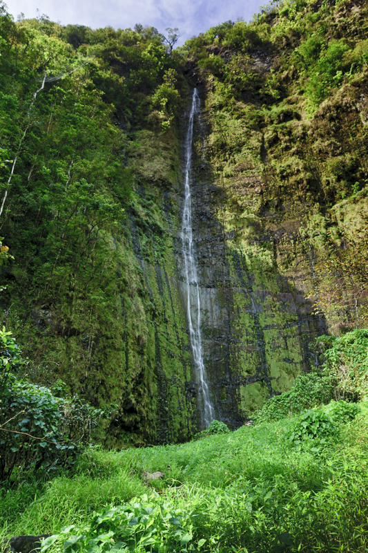 Waimoku falls, Hana 31670 