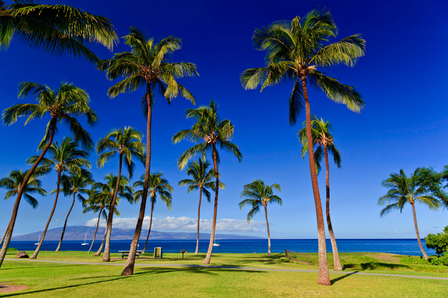 Kahekili park - Airport beach 29668 