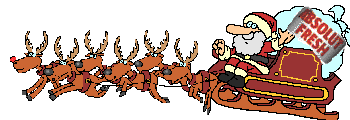 xmas-santa-and-sleigh1.gif