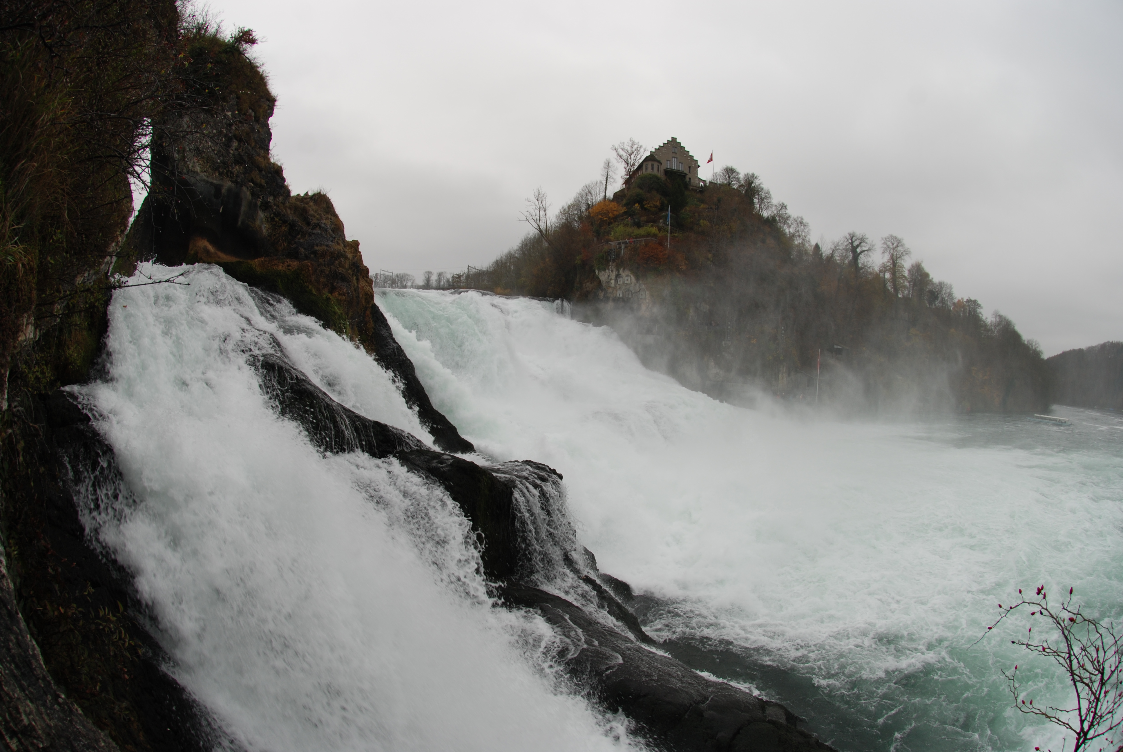 DSC_0977.JPG