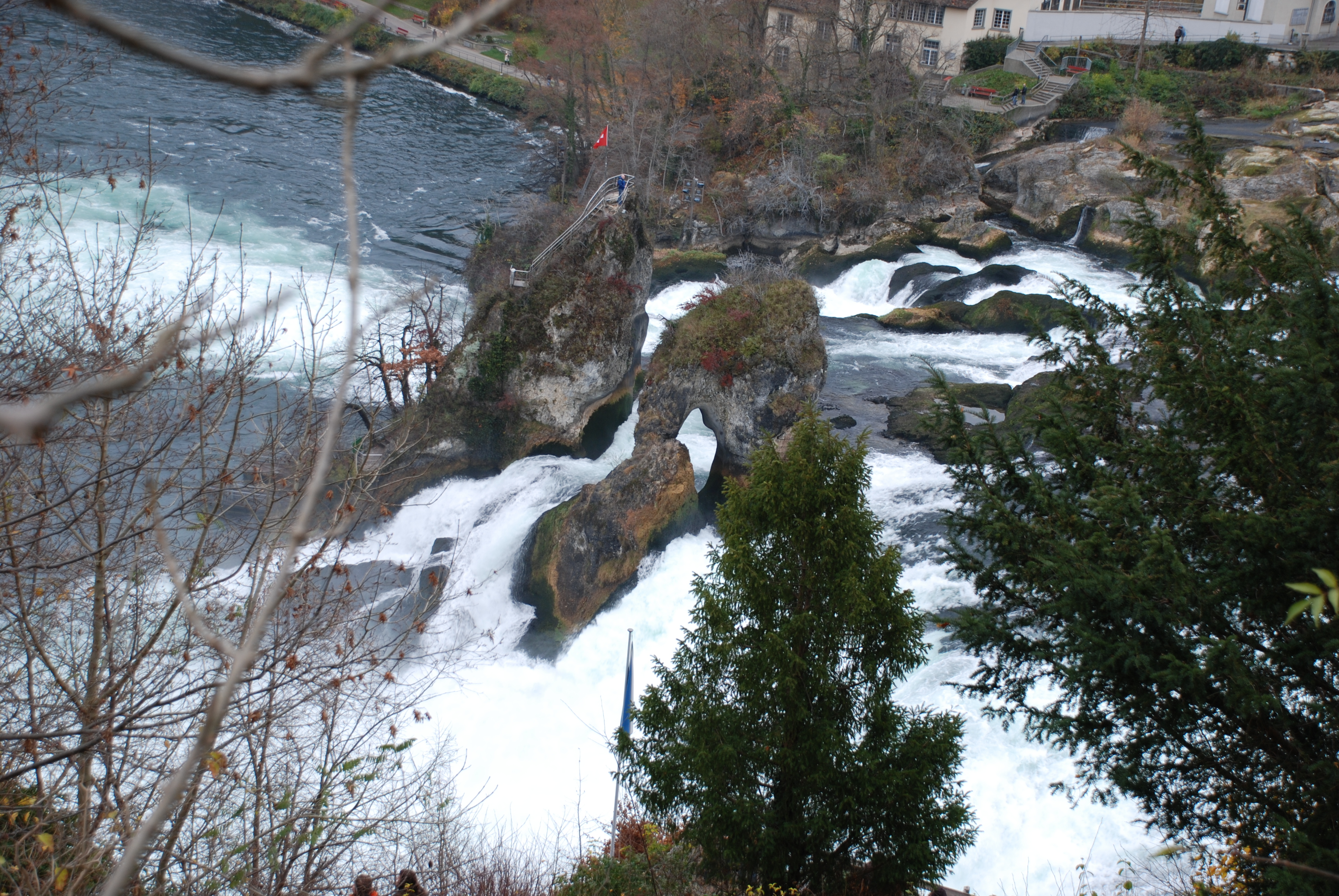 DSC_1012.JPG