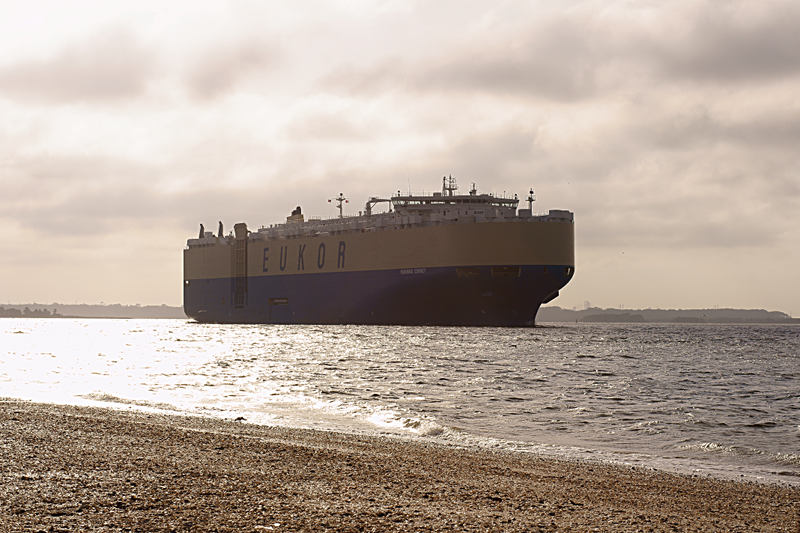 Cargo Ship