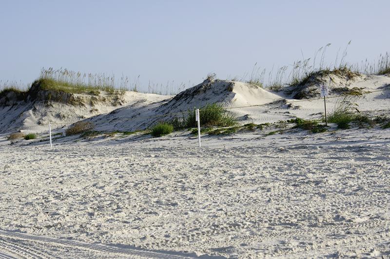 Sand Dunes