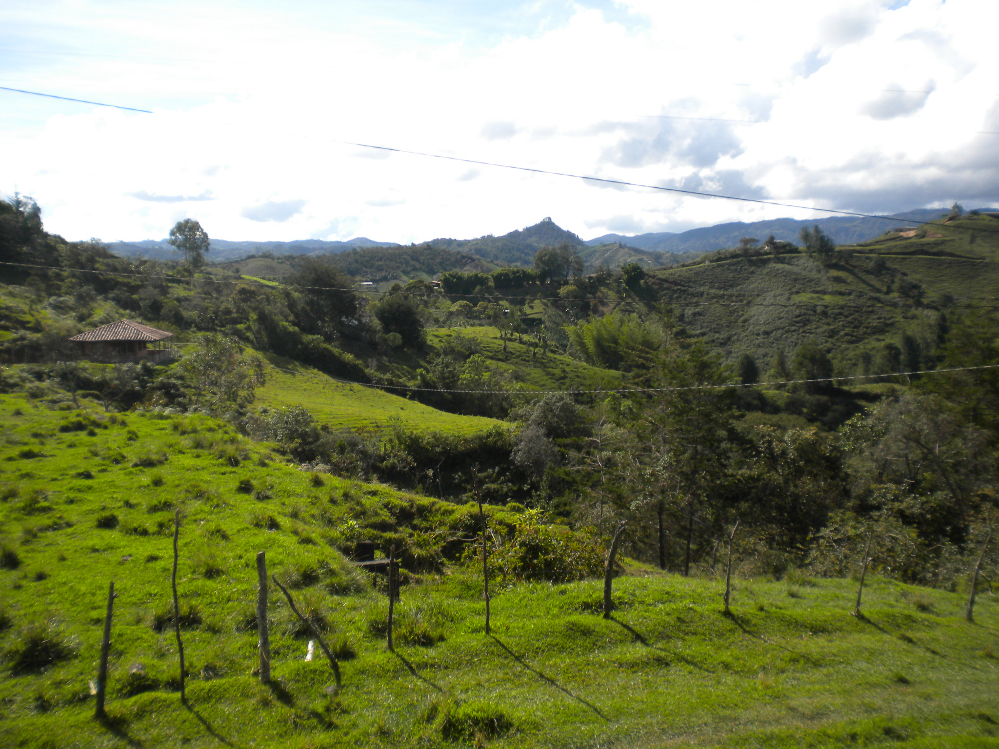 DSCN5688.JPG