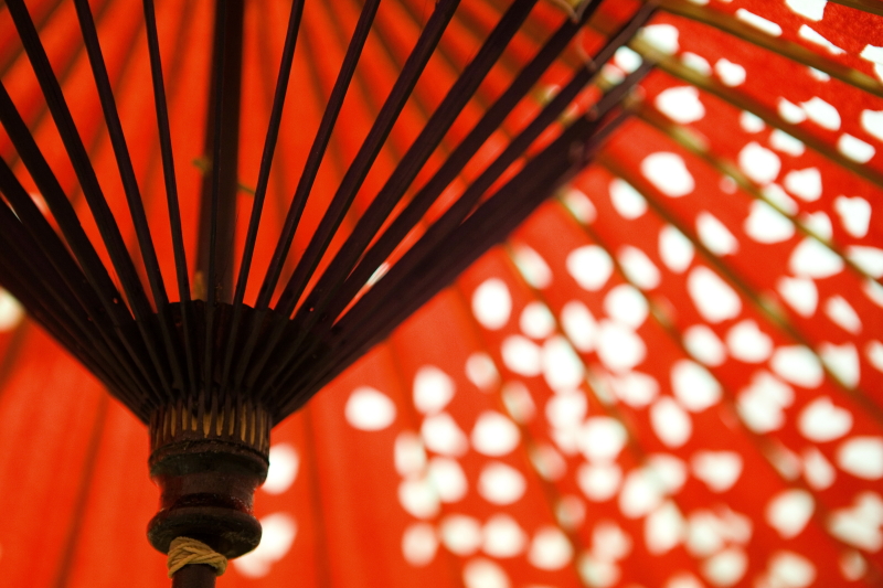 Traditional Japanese Umbrella