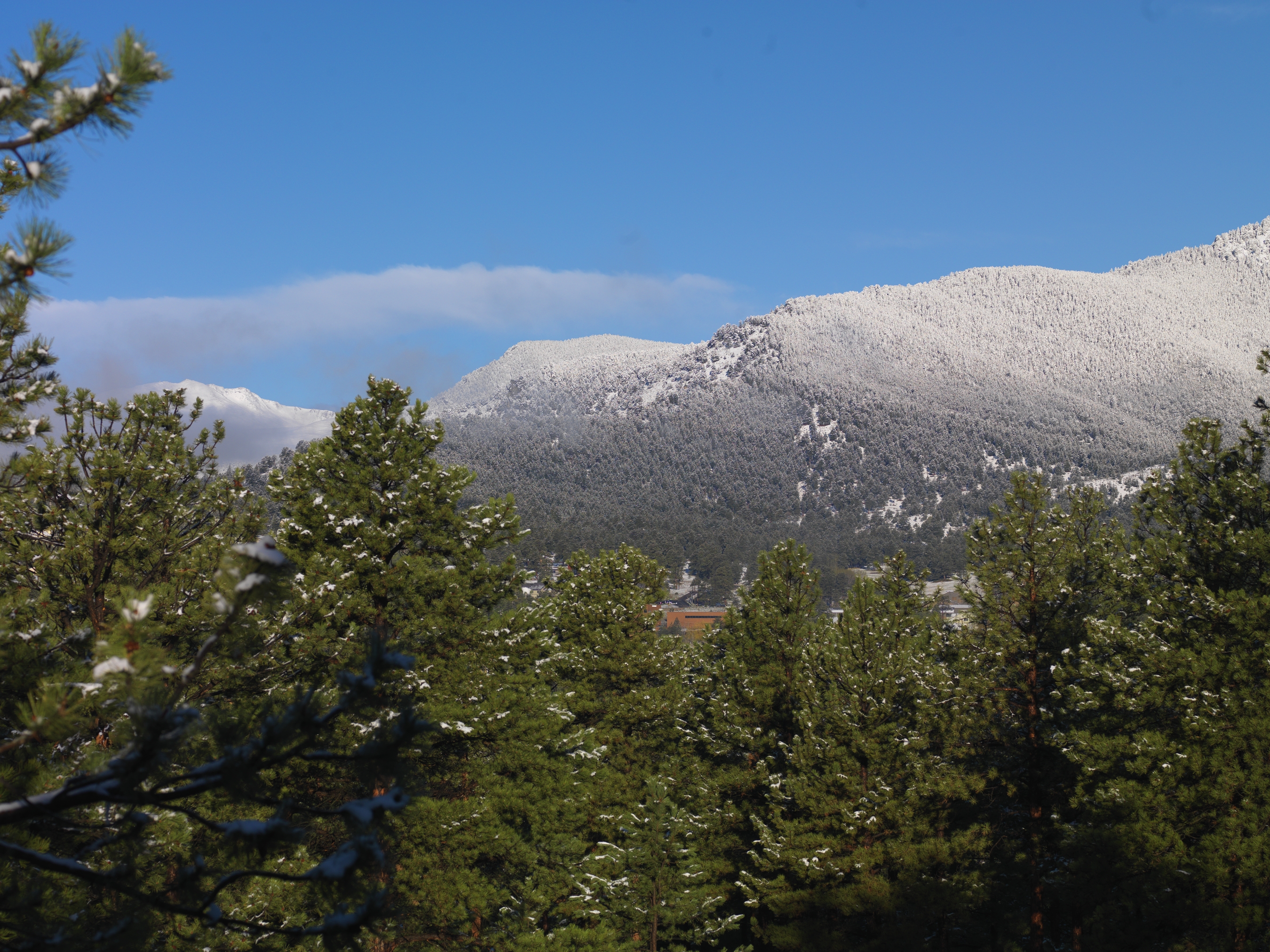 SPRINGTIME IN THE ROCKIES_0051-9.tif