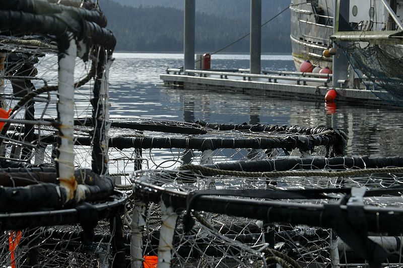 Crab pots