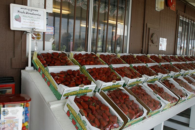 Huge Strawberries