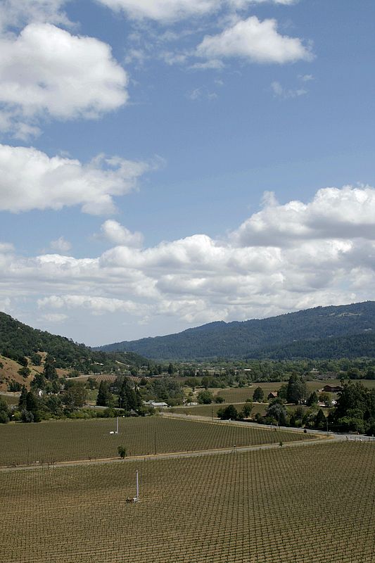 Wine Country