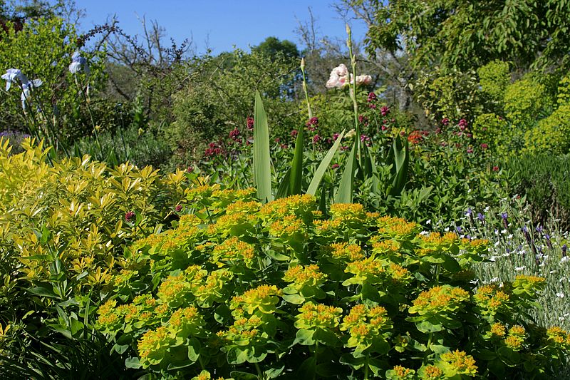 Nancys English Garden
