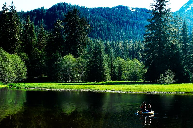 Idyllic Meadow