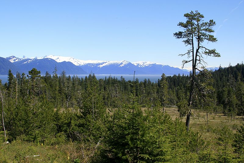 Muskeg and Frederick Sound