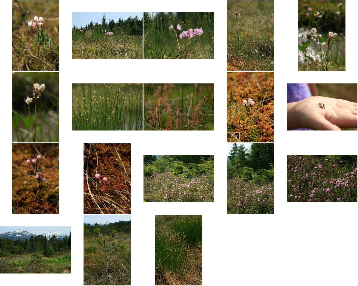 Contact Sheet