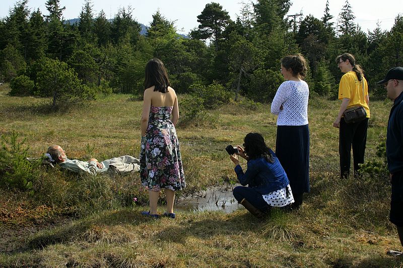 What creature is this in the Muskeg?