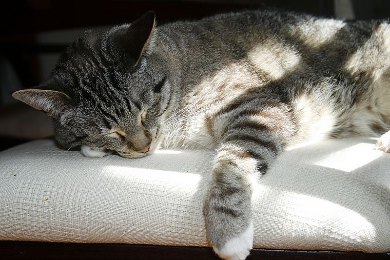 Zzzzz...