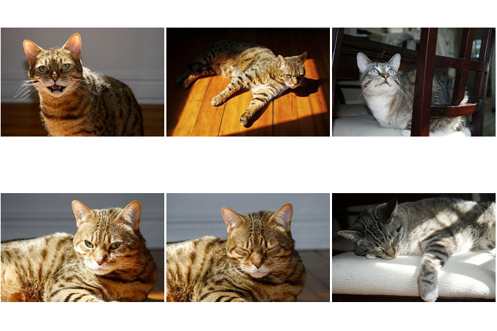 Contact Sheet