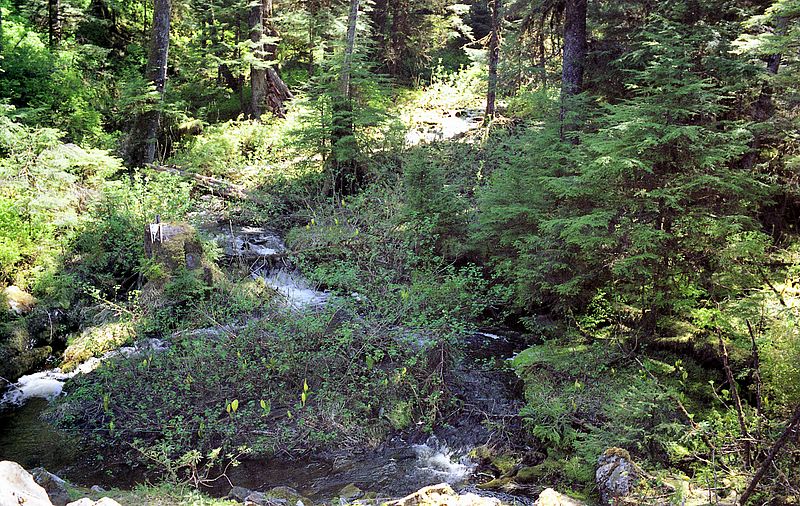 Creek