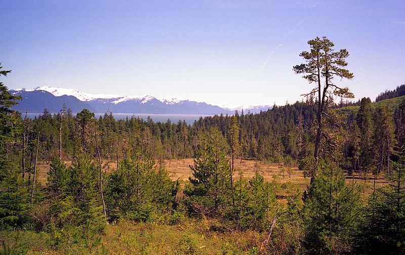 Muskeg and mainland across the sound