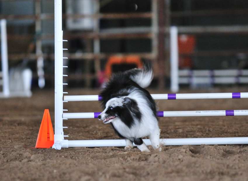 Clearing the hurdle